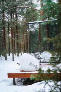 PunakiviÖÖD Hötels Laheranna SUME -with sauna的雪中一张桌子上的镜子