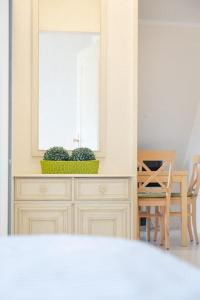 提努姆Haus Lia Rechts App 5的厨房配有镜子,橱柜上装有两株植物