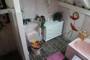 格鲁特维普夫住宿加早餐酒店的粉红色的浴室设有卫生间和水槽
