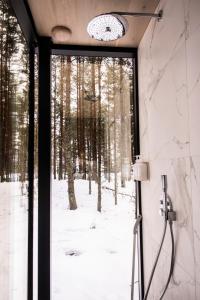 PunakiviÖÖD Hötels Laheranna SUDU- with sauna的带淋浴的浴室,享有森林美景