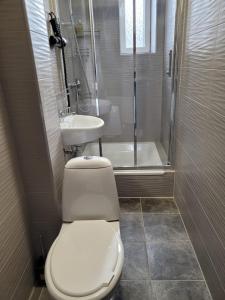 塔尔西Talsi 2 rooms and backyard的浴室配有卫生间、淋浴和盥洗盆。