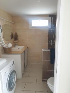 圣马迪拉莫Appartement le loft的浴室配有洗衣机、水槽和洗衣机。