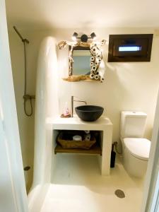 VathíPistachio Guesthouse, Παραδοσιακός ξενώνας的一间带水槽和卫生间的浴室