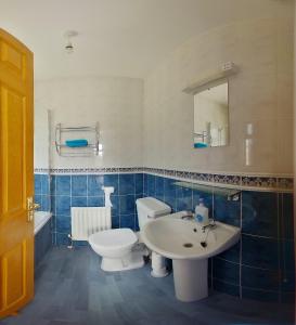 斯特拉班The Coach Inn的蓝色瓷砖浴室设有卫生间和水槽