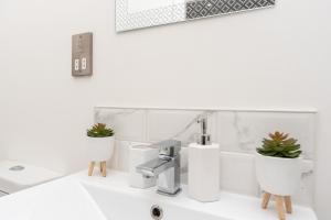 金斯林Modern Apartments in Kings Lynn with Free Wi-Fi的浴室水槽上装有两盆植物