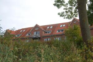 奥斯特巴德里克Ferienwohnung mit Ostseeblick in Rerik的前面有棵树的红砖建筑