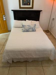 Sabana GrandeGreat Savannah Guesthouse的一张白色的床,上面有两个枕头