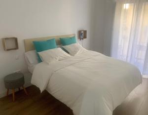 卡塞雷斯PUERTA DE CACERES Apartamento 4的一间卧室配有白色床和蓝色枕头