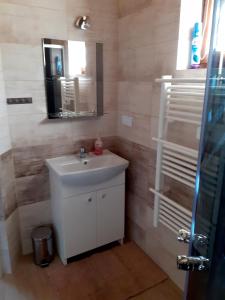拉普斯尼恩Domek na Leśnej的浴室设有白色水槽和镜子