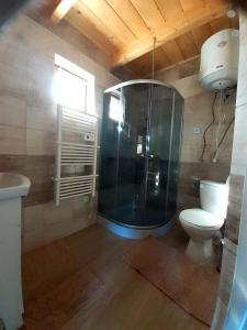 拉普斯尼恩Domek na Leśnej的一间带玻璃淋浴和卫生间的浴室
