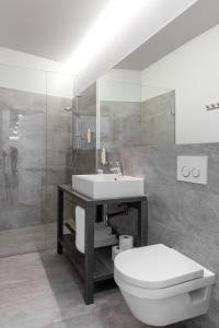 维也纳Room 55的一间带卫生间和水槽的浴室