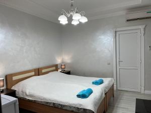 苏呼米Guest House Esma的一间卧室配有一张带蓝色枕头的床。