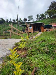 圣拉菲尔Cabaña Glamping Los Canarios San Rafael, Antioquia的山丘上带栅栏和草地的房子