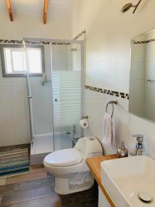 科伊艾科Hostal Uruz的浴室配有卫生间、淋浴和盥洗盆。