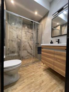 Dream Apartment Vršac的一间浴室