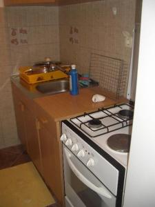 格鲁达Apartment Dario的小厨房配有炉灶和水槽