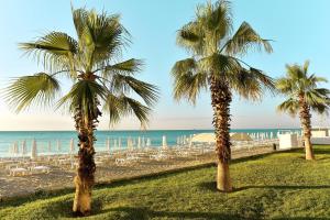 金沙Sentido Marea Hotel - 24 hours Ultra All inclusive & Private Beach的海滩上的两棵棕榈树,带椅子,大海