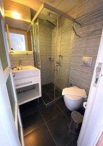 马尔马里斯GOLDKAYA HOTEL的带淋浴、卫生间和盥洗盆的浴室