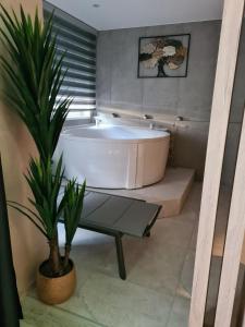 瓦拉日丁Wellness Apartments的带浴缸的浴室,种植了盆栽植物