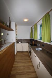 Residence Passerhaus的厨房或小厨房