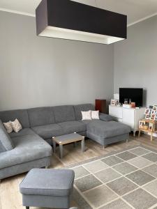 希欧福克Régimódi Apartman的客厅配有灰色的沙发和桌子