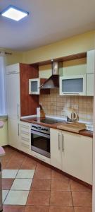 弗罗茨瓦夫WROCLOVE_NET MUCHOBOR的厨房配有白色橱柜和炉灶烤箱。