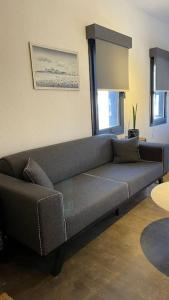 博德鲁姆K Studio的客厅里设有一张灰色沙发
