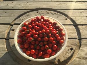 拉卡尼亚Ktima Tzaneti - Coastal Farmhouse的木桌上放一碗西红柿