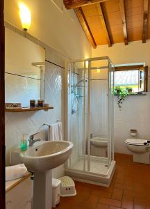 Pian dei CerriCASA PARTINGOLI的带淋浴、盥洗盆和卫生间的浴室
