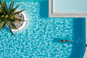 埃雷特里亚埃雷特里亚内格罗蓬特度假酒店的棕榈树旁边的游泳池里的鱼