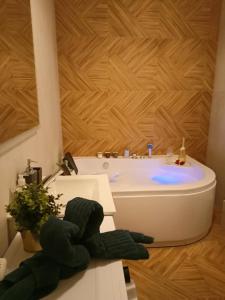 拉多姆Apartament z Sauna i Jacuzzi的浴室里有一个绿色的填充动物,坐在水槽上