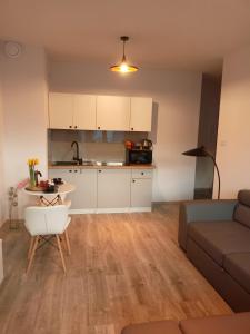 拉多姆Apartament z Sauna i Jacuzzi的带沙发的客厅和厨房