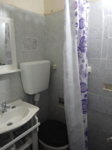 马德普拉塔La Casona-Hotel的一间带水槽、卫生间和淋浴的浴室