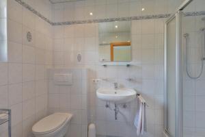 迈尔霍芬斯蒂芬妮乡村公寓的白色的浴室设有卫生间和水槽。