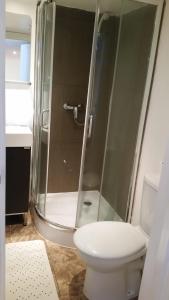 伦敦牧羊人布什公寓的带淋浴、卫生间和盥洗盆的浴室
