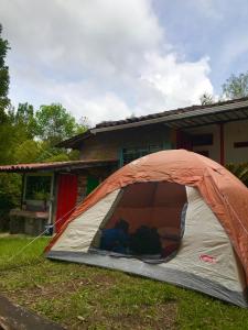 萨兰托Ecofinca Salento的坐在房子前面的草上的一个帐篷