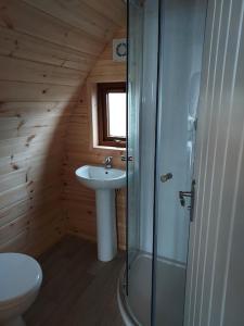 AphortArranmore Glamping的带淋浴、盥洗盆和卫生间的浴室
