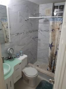 里奥格兰德Cozy suite at coco Beach , not pets的浴室配有卫生间、盥洗盆和淋浴。