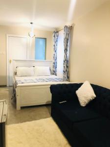 内罗毕Pazoori Furnished Studios and 1 bedrooms的一间卧室配有一张沙发床和一扇窗户