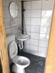 福查Etno kuća Milidrag的一间带卫生间和水槽的浴室
