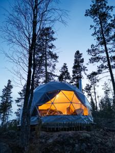 萨翁林纳Hidden Island Laukanharju Glamping的树林里建有帐篷