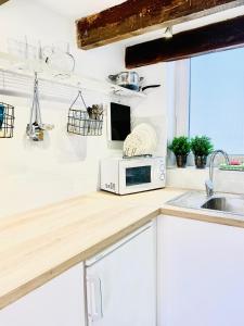 赫雷斯-德拉弗龙特拉Mini Loft Plaza España的厨房柜台配有微波炉和水槽
