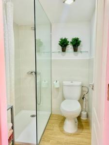 赫雷斯-德拉弗龙特拉Mini Loft Plaza España的一间带卫生间和玻璃淋浴间的浴室