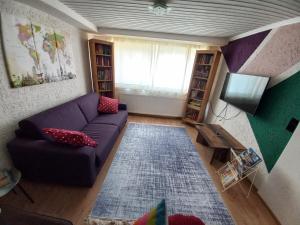 布拉河畔的海登海姆FeWo Heidenheim Bluewall的客厅配有紫色沙发和电视