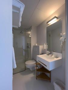 比亚里茨加玛利兹酒店的一间带水槽、卫生间和镜子的浴室