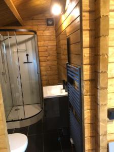 皮滕Kom tot rust op de Veluwe in nieuwe unieke blokhut的一间带玻璃淋浴和卫生间的浴室