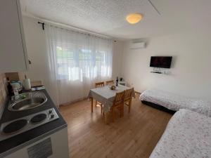 拉科维察VIP Apartments & Room的厨房以及带水槽和桌子的客厅。