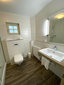 德拉格祖尔赛车道酒店的一间带水槽、卫生间和镜子的浴室