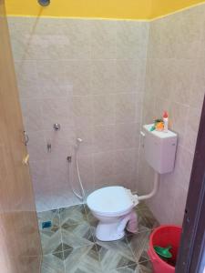 MacangHomestay Machang Sentral的一间带卫生间和淋浴的小浴室