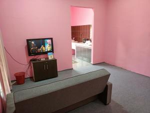 MacangHomestay Machang Sentral的客厅设有粉红色墙壁上的电视